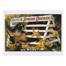 A Spring Chicken, Selden's funny farce Post Card