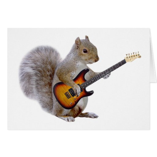 A Squirrel Playing Guitar Greeting Cards