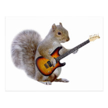 A Squirrel Playing Guitar Post Card
