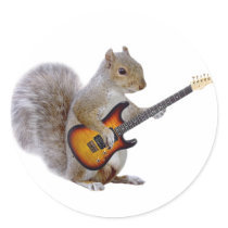 A Squirrel Playing Guitar