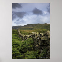 A Stone Fence Through Fields Posters