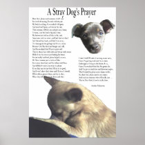 A Stray Dog's Prayer (alternate background colour)