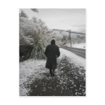 A Stroll in the Snow Postcards