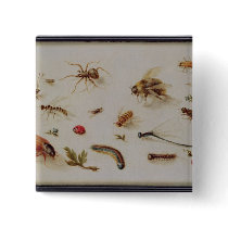 A Study of Insects Pin