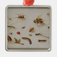 A Study of Insects Christmas Tree Ornaments