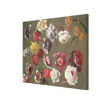 A Study of Peonies (oil on canvas) canvas prints