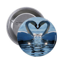 A Swan Heart Kiss, Reflections of Love Pinback Buttons