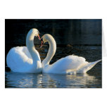 A Swan Heart Kiss, Reflections of Love Cards