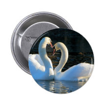 A Swan Heart Kiss, Reflections of Love Pin