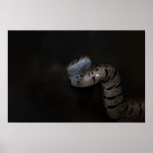 A symbol of Healing Print