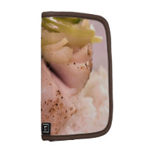 A tasty shot of fish with rice organizer