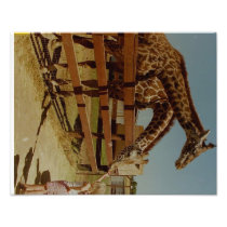 A tasty titbit photo print