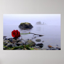 À terre lavé rose rouge affiche