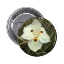 a tiny flowers face pinback button