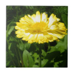 A Touch of Yellow tiles
