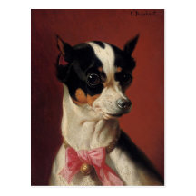 A Toy Pincher Postcard