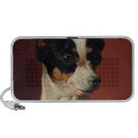 A Toy Pincher Speaker