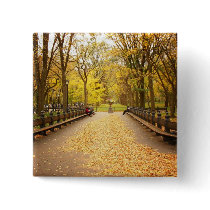A Trail of Autumn Leaves, Central Park, NYC Pinback Buttons