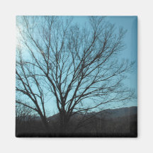 A Tree Fridge Magnets