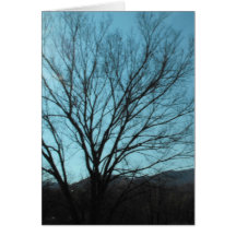 A Tree Greeting Cards