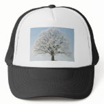 A Tree In Winter Hat