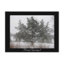 A Tree In Winter Post Cards