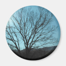 A Tree Refrigerator Magnets