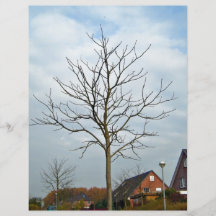A tree without leaves under the sky flyer design