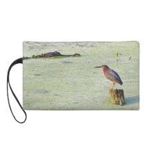 A Tricolor Heron And An Alligator Wristlet