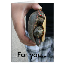 A turtle for you greeting cards