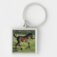 A two week old foals joy keychain