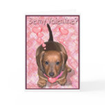 A Valentine Doxie Puppy Card