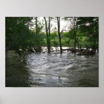 A View of the River Posters
