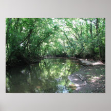 A View of the River Posters