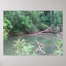 A View of the River Posters