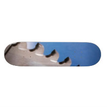 A vu le conseil skateboard