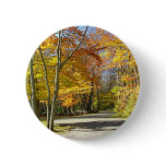 A walk in the park