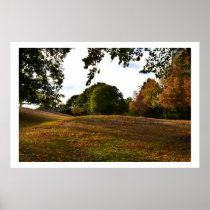 A Walk In The Park