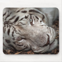 A Watchful Eye Mousepads