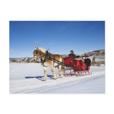 A Western Christmas - Horse Christmas Sleigh Post Cards by cutechristmasanimals