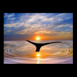 A whales tail at sunset posters