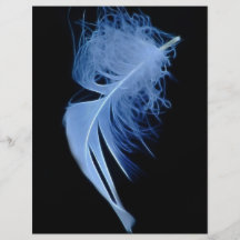 A whisper of a feather flyer