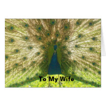 A Wife Appreciation Card from Hubby