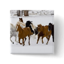 A winter scenic of running horses on The Pinback Button