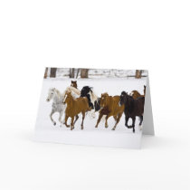 A winter scenic of running horses on The Cards