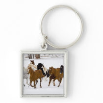 A winter scenic of running horses on The Keychains