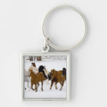 A winter scenic of running horses on The Keychains