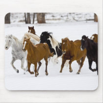A winter scenic of running horses on The Mouse Pad