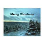 A Winter's Dream Postcard