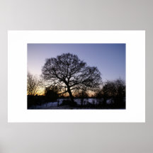 A Winter's Tree Poster